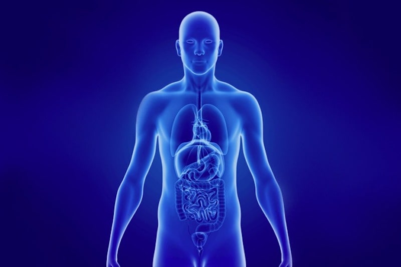 Illustrazione 3d del corpo umano per descrivere la laparoscopia