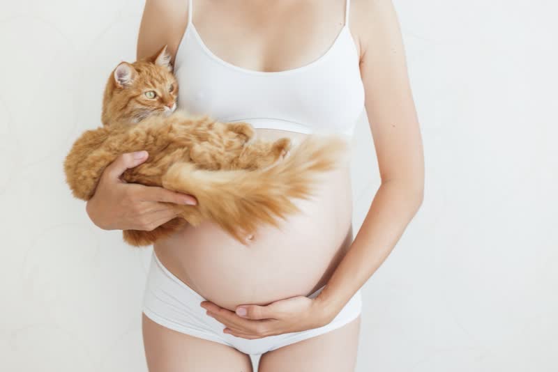 Foto di donna incinta con maglietta bianca con in braccio un gatto arancione appoggiato sul seno destro per simboleggiare la toxoplasmosi