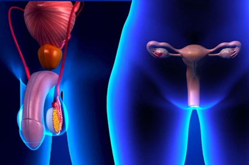 Infezione da HPV