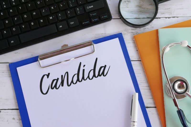 Candida (Candidosi o Candidiasi)